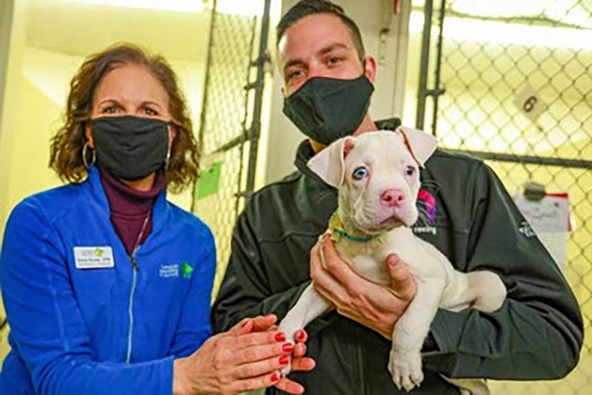 Ally and NASCAR’s Alex Bowman Race to Help Animals in Need
