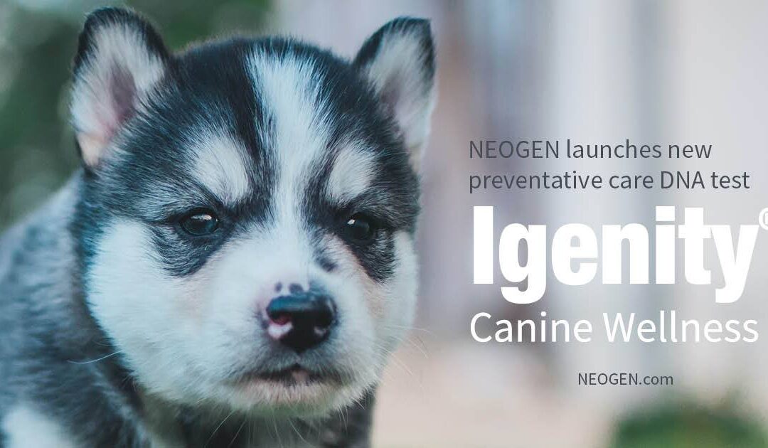 Neogen Launches New Preventative Care DNA Test, Igenity® Canine Wellness