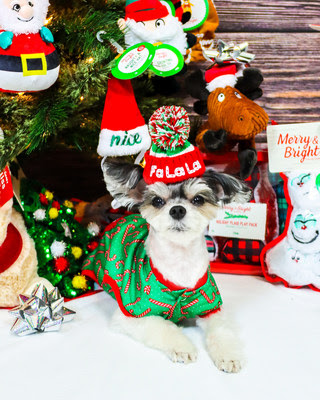 PetSmart Celebrates the Season of Spoiling with Virtual Santa Photos and Sweepstakes