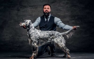 The American Kennel Club And ESPN Ink Multi-Year Agreement For Dog Competitions