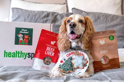 Healthy Spot Brings The Holiday Cheer For Pets With The Perfect Gift Guide