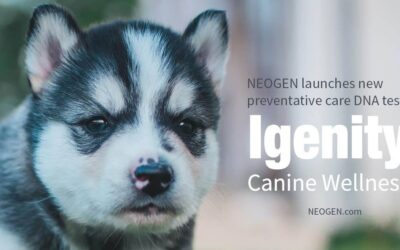 Neogen Launches New Preventative Care DNA Test, Igenity® Canine Wellness